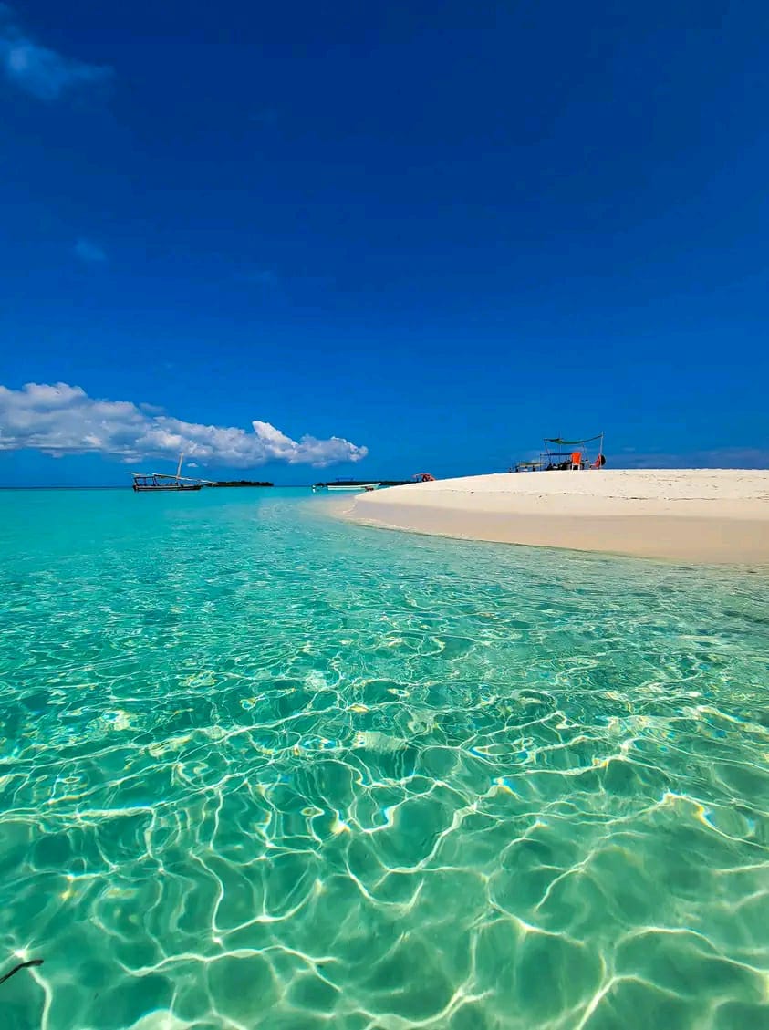 Blue Safari Crystal Water