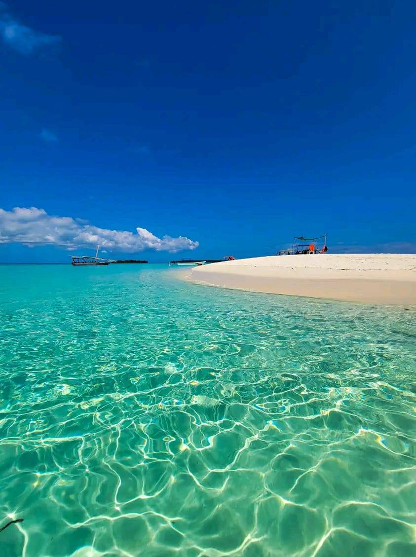 Blue Safari Crystal Water