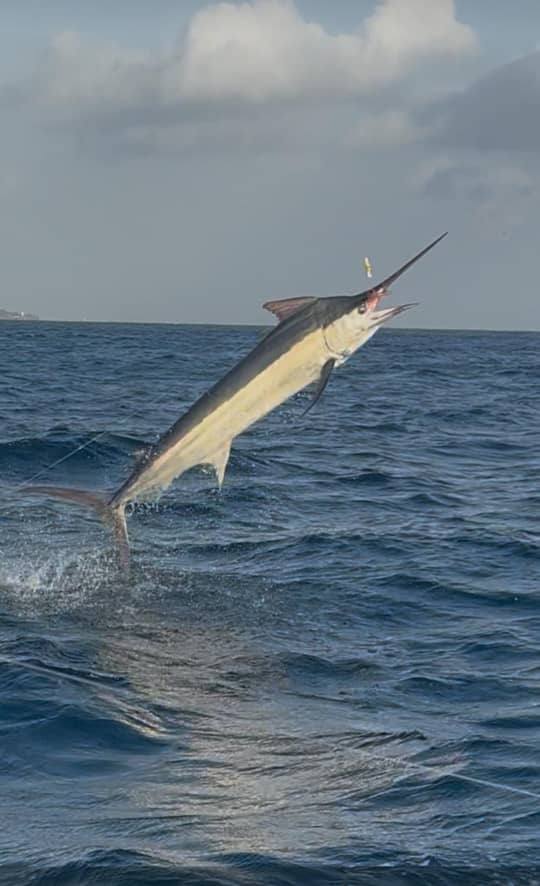 Fishing Trip