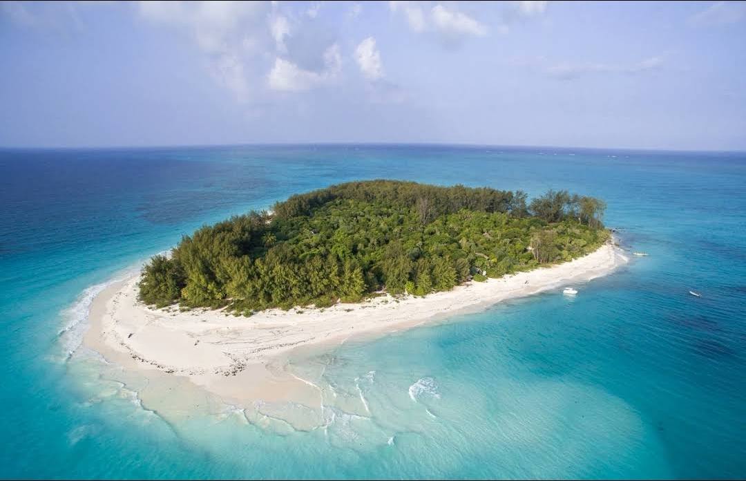 Mnemba Island